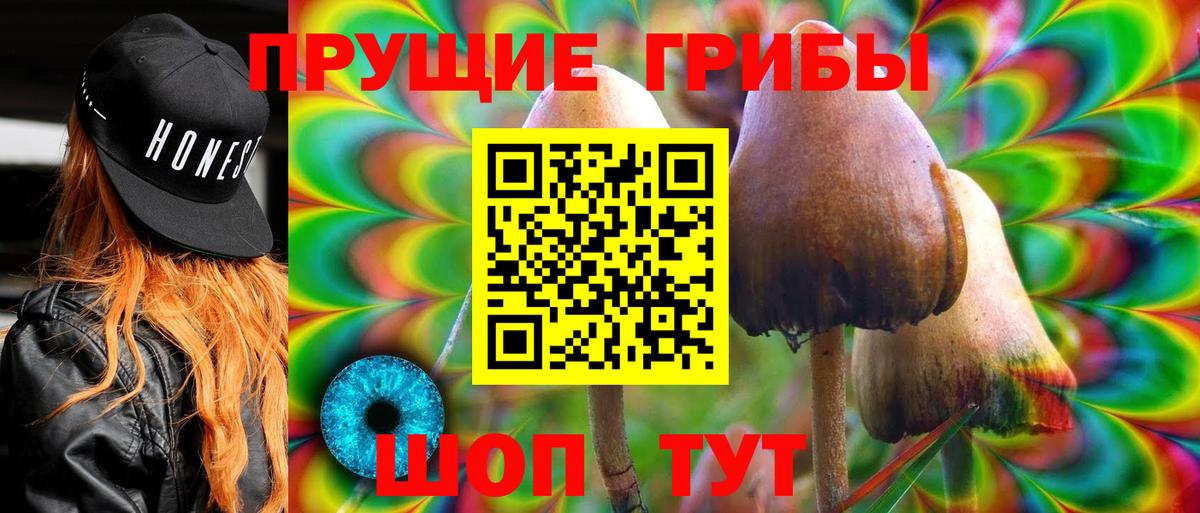 Кудымкар  Галлюциногенные грибы ЛСД  Вход с VPN 
